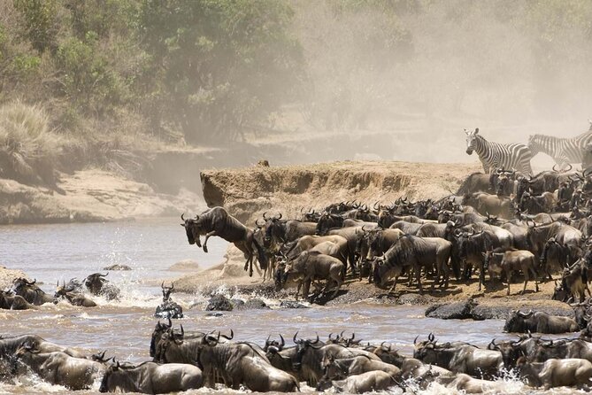 4 Days Tour Landcruiser in Masai Mara and Lake Nakuru - The Land Cruiser setup: pop-up roof and everyone can see
