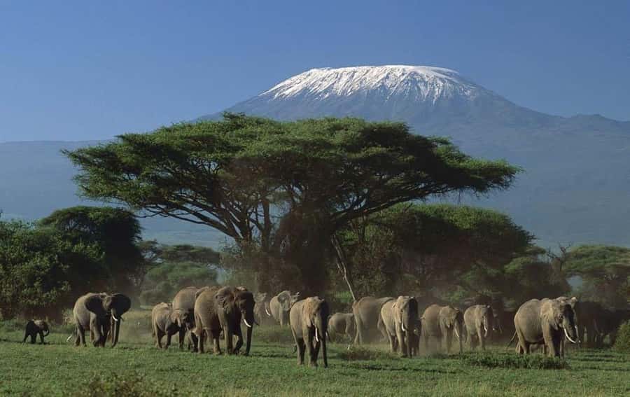 4 days Tsavo East, Amboseli and saltlick lodge safari - Price and value: what $1,630 per person buys you in the real world