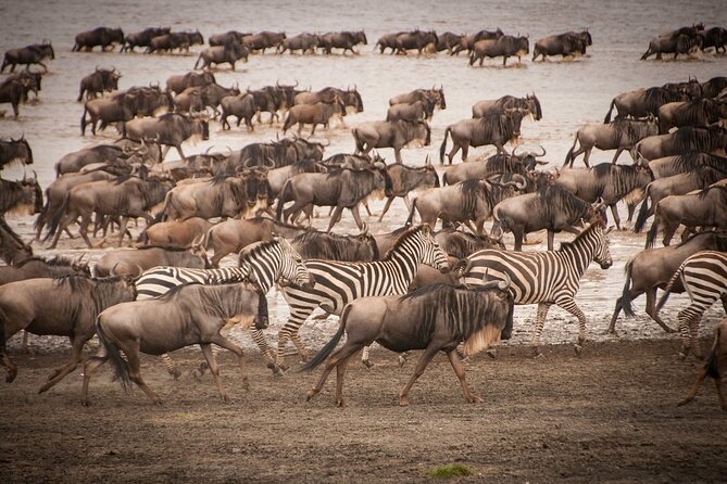 4 Days Tsavo West, Amboseli and Tsavo East National Park Safari - Starting in Mombasa at 7:00 am, and why those long drives are part of the deal