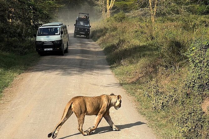 4day Maasai Mara, Lake Nakuru, and Lake Naivasha - Lake Naivasha boat trip and optional Crescent Island walking