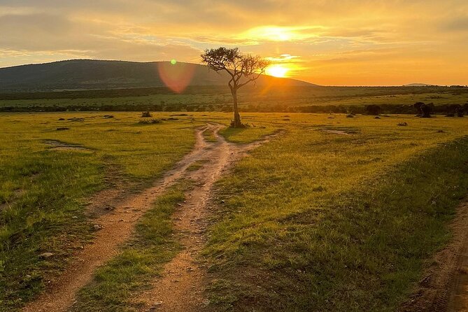 4day Maasai Mara, Lake Nakuru, and Lake Naivasha - The small group factor: what max 12 usually means for your day