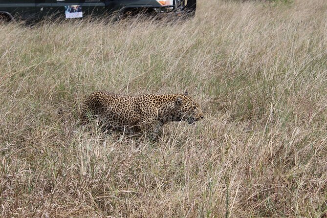 5-Day Private Tour in Kenya's Best Game Parks - How this 5-day Kenya safari is paced, and why it matters