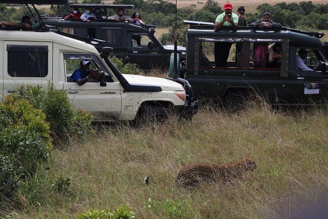 5-Day Private Tour in Kenya's Best Game Parks - Day 5 early drive at 0600h, plus an optional Maasai village