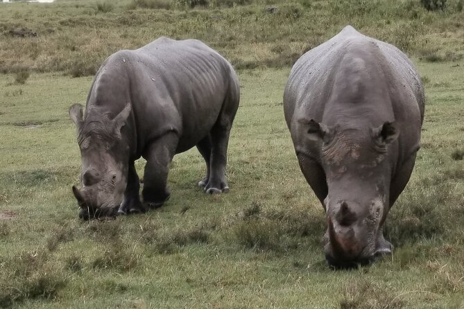 5-Day Safari in Maasai Mara, Lake Nakuru and Naivasha - Maasai Mara Day 1: Great Rift Valley views, then prime game drive time