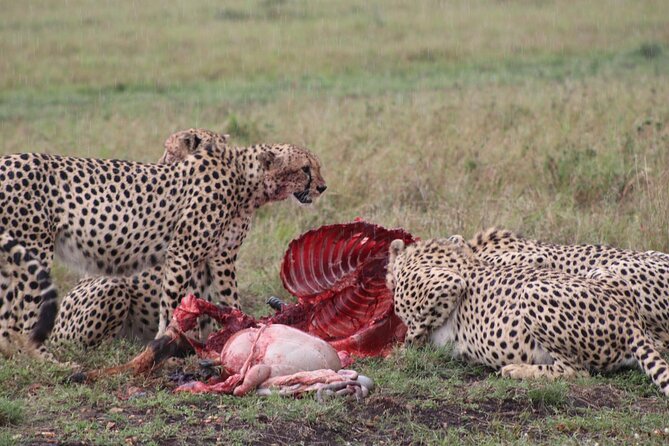 5-Day Safari in Maasai Mara, Lake Nakuru and Naivasha - Hells Gate Day 5: biking safari, gorges, and a return to Nairobi
