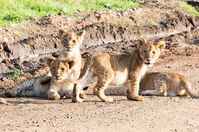 5 Days/4 Nights Kenya Safari - Day 3: Lake Naivasha boat ride en route to Lake Nakuru, plus optional hikes