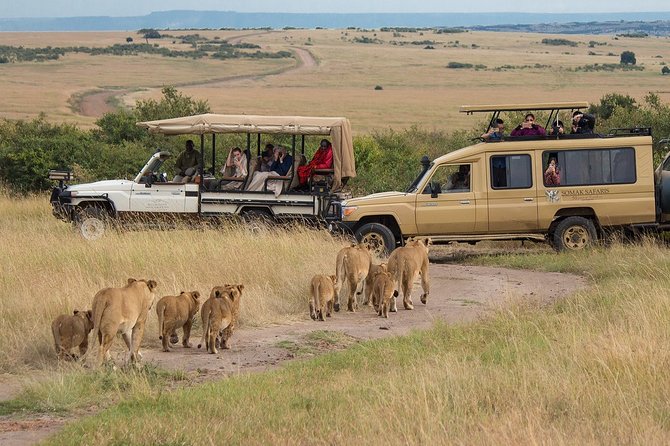 5 Days/4 Nights Kenya Safari - Price and logistics: where the $1,546 per person value really comes from