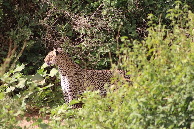 5 Days Best Of Kenya Safari - Price and value: is $2,820 per person worth it