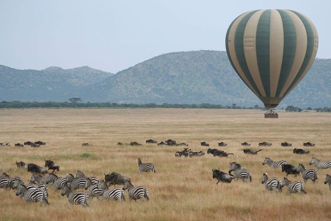 5 Days Best Of Kenya Safari - Day 2 full safari day in Maasai Mara: morning and evening drives