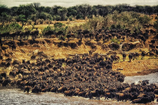 5 Days Budget Safari To Masai Mara, Lake Nakuru and Lake Naivasha - Lake Naivasha boat ride, hippos, and Crescent Island walk
