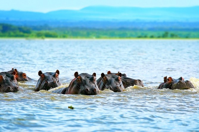 5 Days Hell's Gate, L. Naivasha, L. Nakuru & Masai Mara Luxury Safari - Key Things That Make This Safari Work