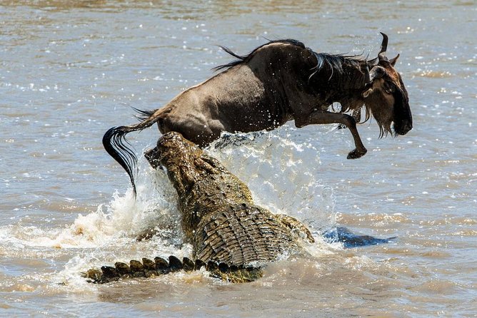 5 Days Hell's Gate, L. Naivasha, L. Nakuru & Masai Mara Luxury Safari - Why This 5-Park Kenya Loop Feels Smart