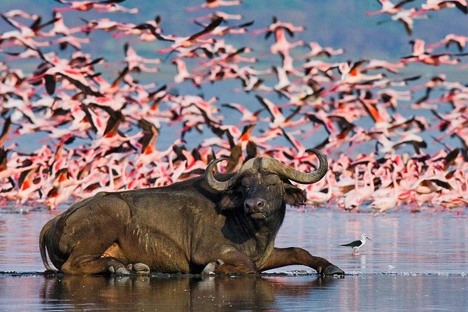 5 Days Hell's Gate, L. Naivasha, L. Nakuru & Masai Mara Luxury Safari - Hell’s Gate Walking Safari: Seeing Wildlife Differently