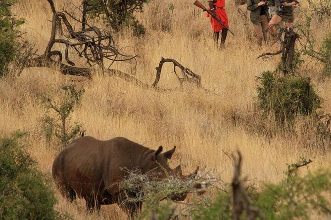 5 Days Kenya Masai Mara and Lake Nakuru Private Tour - Day 5: one more Lake Nakuru game drive, then back to Nairobi