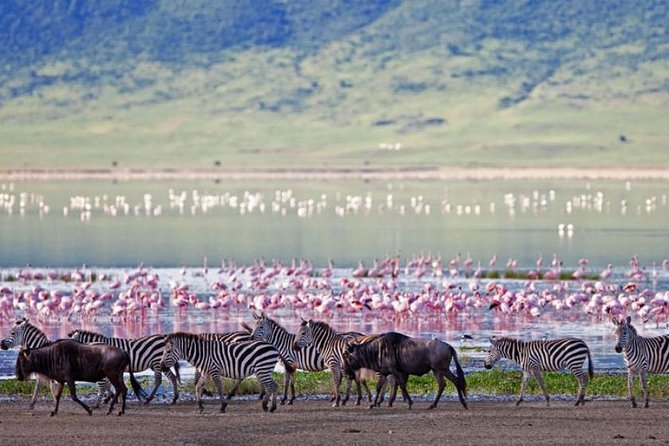 5 Days Kenya Masai Mara and Lake Nakuru Private Tour - The optional balloon: worth it, but know the price up front