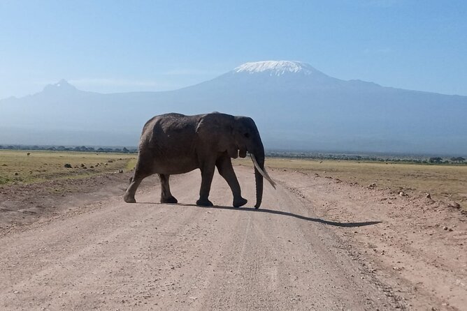 5 Days Lake Naivasha, Lake Nakuru, & Masai Mara - Naivasha’s special blend: horseback, walking safari, and boat time