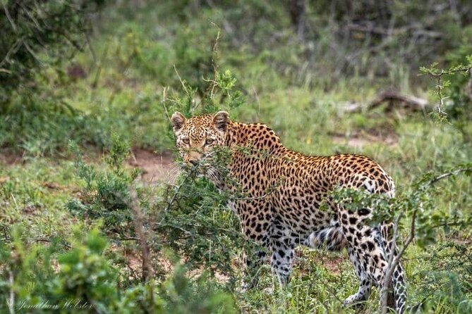 5 Days Lake Nakuru-Lake Naivasha & Maasai Mara Safari - Hell’s Gate: biking and gorges, plus a Crescent Island option