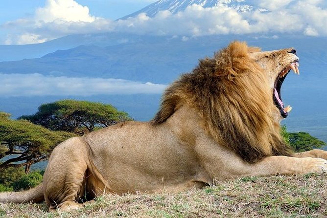5 Days Maasai mara, Lake Nakuru, samburu private lodge safari - A Private Route Through Three Kenya Safari Hotspots
