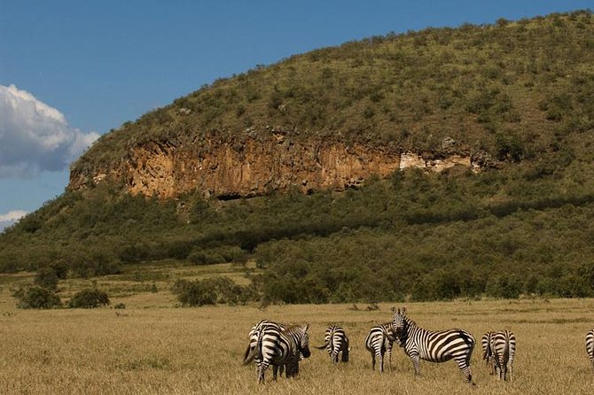 5 Days Maasai mara, Lake Nakuru, samburu private lodge safari - Nairobi Pickup, A/C Drives, and WiFi for Long Safari Days