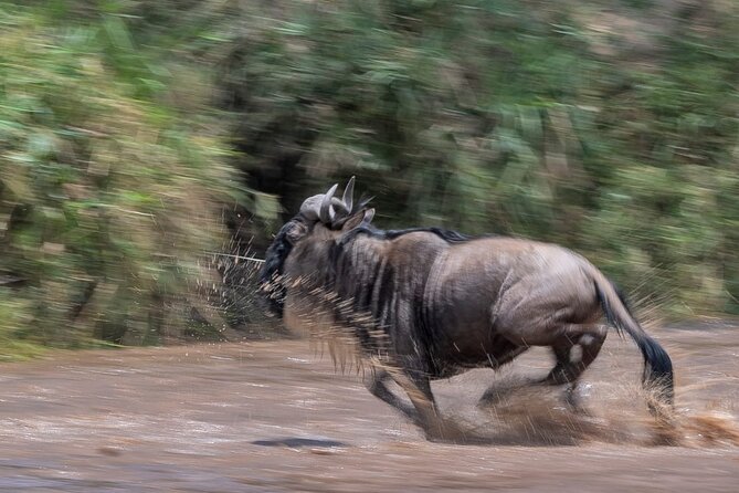 5 days Masai Mara Wildebeest migration safari - First Night in Nairobi, Then Out Into the Rift Valley