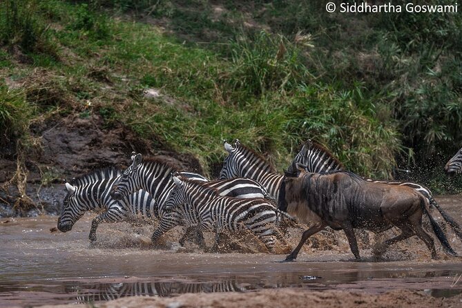 5 days Masai Mara Wildebeest migration safari - Day 2: 07:30 Departure, Rift Valley Views, and Your First Big Game Chances