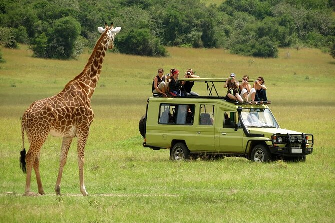 5 Days Mombasa,Tsavo East, Taita Salt Lick, Tsavo West, Amboseli, - Wildlife you can realistically plan to see across Tsavo and Amboseli