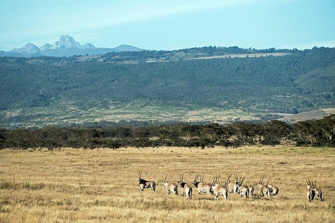 5 Days Mount Kenya Climbing Via Chogoria Sirimone Route - Day 4, sunrise summit attempt to Point Lenana (4,985m) starting around 3:00 am