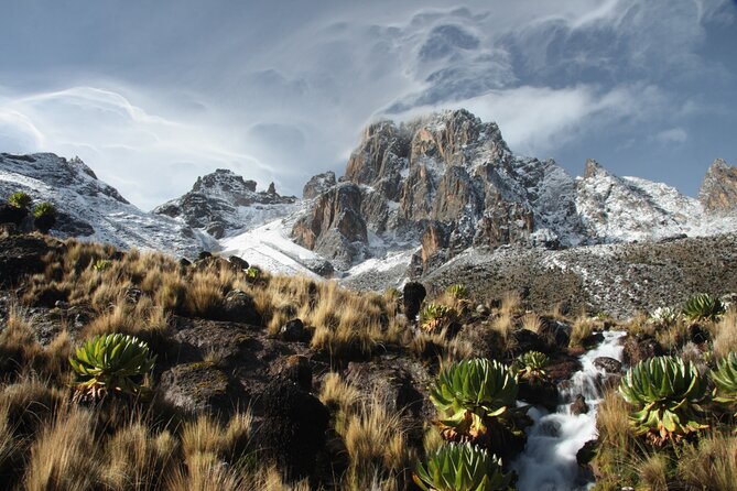 5 Days Mount Kenya Climbing Via Chogoria Sirimone Route - Day 1, Chogoria drive and the bamboo forest start to Mt Kenya Bandas