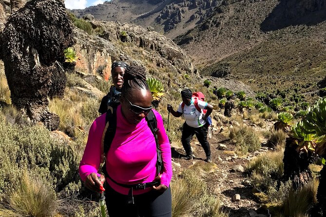 5 Days Mt. Kenya Sirimon route out Chogoria Route with Peak Circuit - Day 2: Old Moses to Shipton’s Camp, moorland pacing and river crossings
