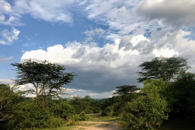5 Days Mt. Kenya Sirimon route out Chogoria Route with Peak Circuit - Guides, cooks, and porters: the support that turns logistics into confidence