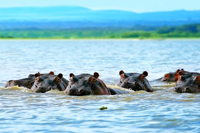 5 Days safari to Maasai Mara ,Lake Nakuru and Hell's gate national park - Key highlights worth planning for