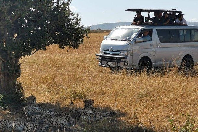 5 Days safari to Maasai Mara ,Lake Nakuru and Hell's gate national park - Rift Valley views and a trip that changes gears every day