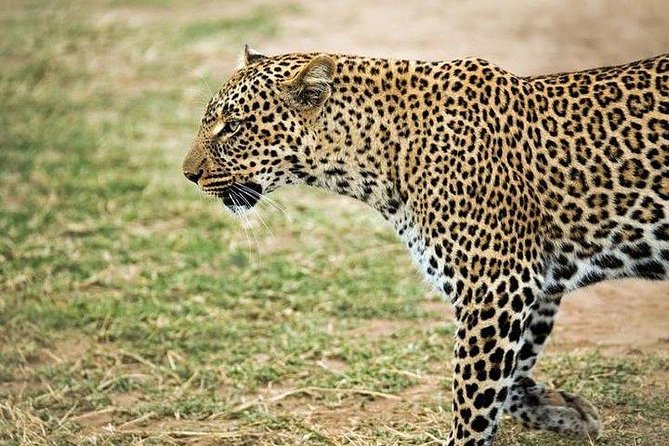 5 Days safari to Maasai Mara ,Lake Nakuru and Hell's gate national park - Price and what you actually get for $1,831.56
