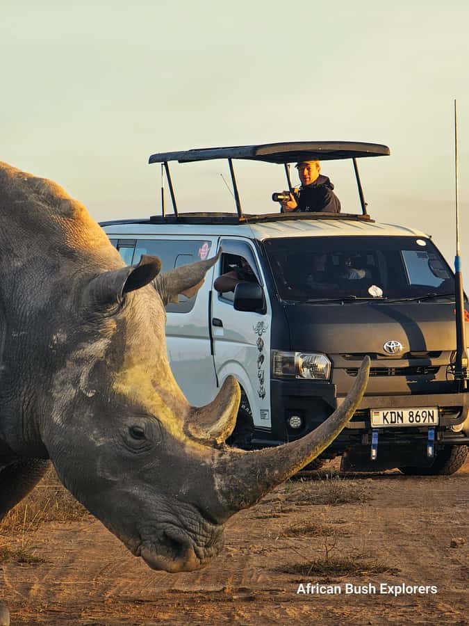 5-Hour Nairobi National Park 4x4 Safari with Free Pickup - Key highlights to look forward to