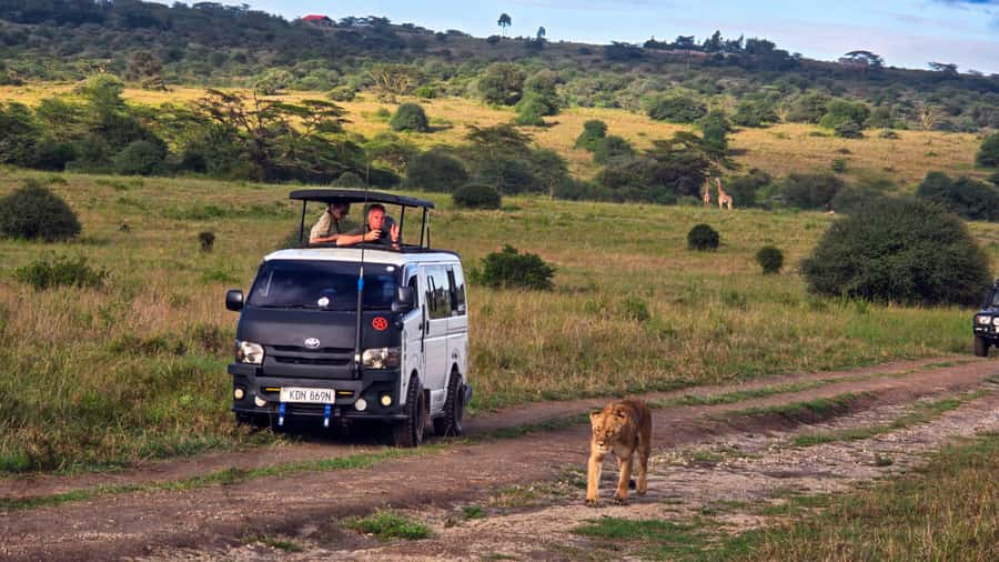 5-Hour Nairobi National Park 4x4 Safari with Free Pickup - Nairobi National Park in Half a Day, Right Next to the City