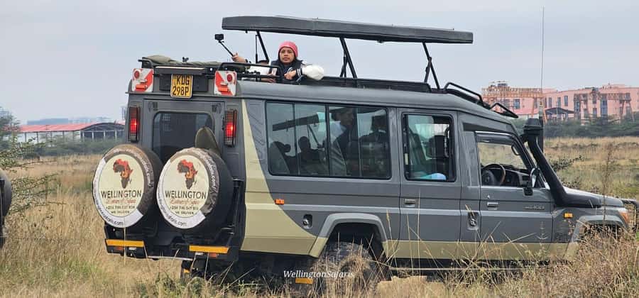 5-Hour Nairobi National Park 4x4 Safari with Free Pickup - Spotting Lions, Rhinos, Giraffes, Zebras, and the Bird Power
