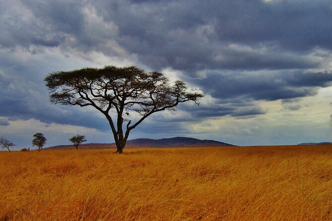 5days Tour Tsavo East & west, Amboseli from Mombasa / Nairobi - Getting Started: 7:00 AM Pickup and a Vehicle-First Day Plan