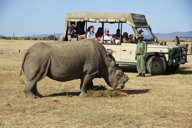 6-Day 5 Nights Masai Mara, Lake Nakuru & Amboseli Budget Safari - Masai Mara on full-drive mode: picnic lunches and lion searching