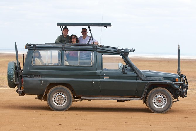 6-Day Kenya and Tanzania safari - Day 5: Ngorongoro Crater Descent, Packed Lunch, and Farm-of-Dreams Lodging