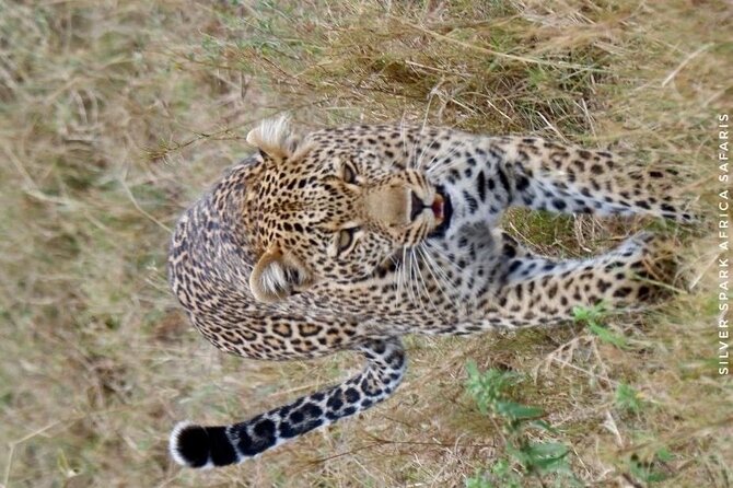 6-Day Maasai Mara Reserve, Lake Naivasha, Amboseli National Park - Entering Maasai Mara, Narok County, and the Great Rift Valley Viewpoints