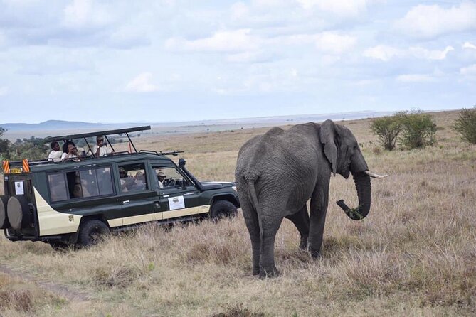 6 Day Nairobi-Amboseli-Maasai Mara Private Semi Luxury Tour - The good and the not-so-good: who this tour fits best