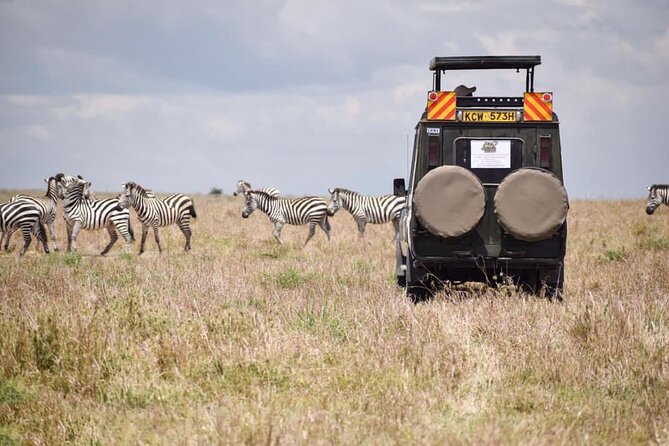 6 Day Nairobi-Amboseli-Maasai Mara Private Semi Luxury Tour - Price and value, is $3,040 per person actually fair?