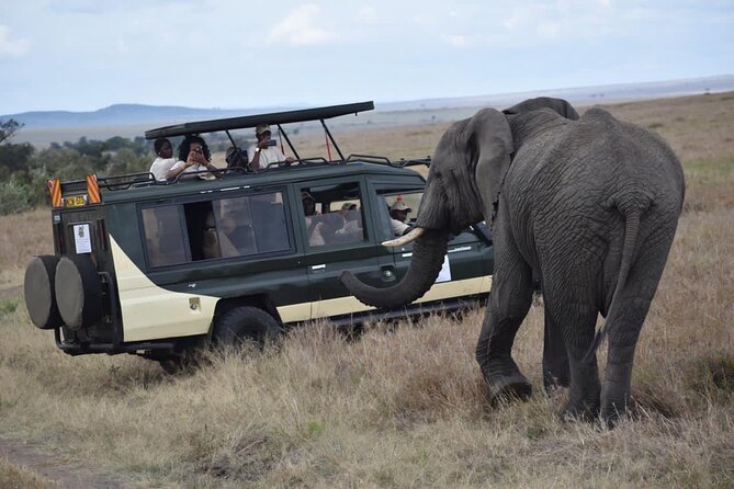 6 Day Nairobi-Amboseli-Maasai Mara Private Semi Luxury Tour - Should you book this 6-day Nairobi, Amboseli, Nakuru, and Maasai Mara tour?
