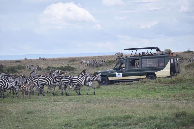 6 Day Nairobi-Amboseli-Maasai Mara Private Semi Luxury Tour - What “semi-luxury” feels like here, and what meals you can expect