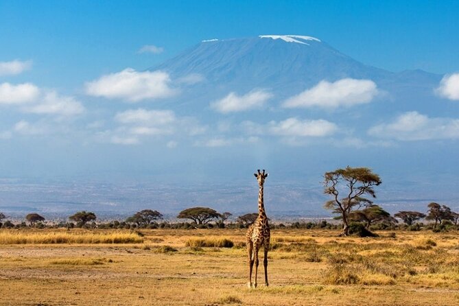 6-Day Private Landcruiser Safari to Masai Mara, Nakuru & Amboseli - What Might Feel Tight: Driving Time and Budget Accommodation Expectations