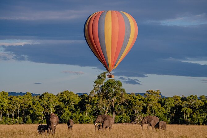 6-Day Samburu, Lake Nakuru, and Masai Mara Safari - Masai Mara Days 4 and 5, Predator Focus on the Plains