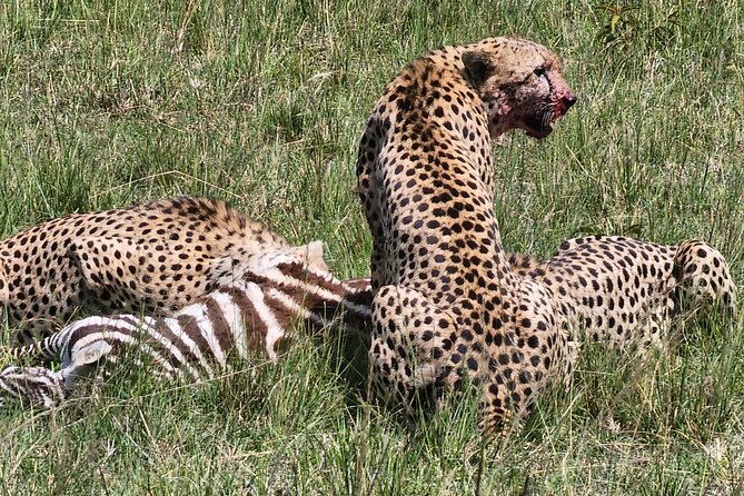 6 Days Amboseli, Lake Naivasha and Masai Mara Adventure - Key highlights at a glance