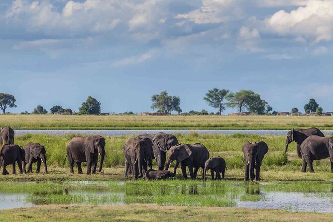 6 Days Group Multi Day Tour Masai Mara Lake Nakuru and Amboseli - How This 3-Park Safari Loop Stacks Up in Real Life