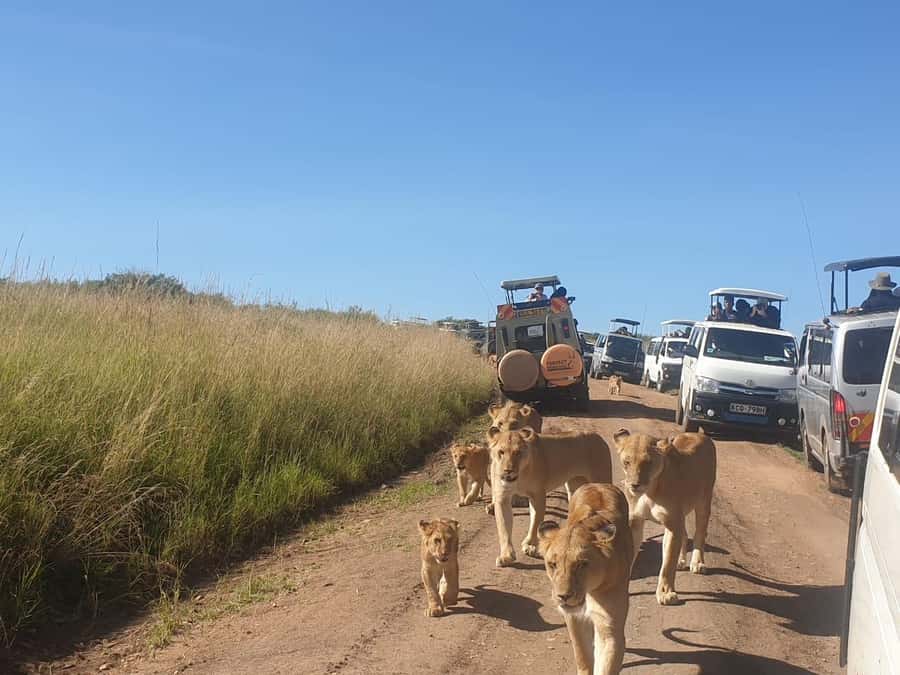 6 Days, Group Safari to Masai Mara, Lake Nakuru and Amboseli - Accommodations and comfort: private rooms and self-contained tents