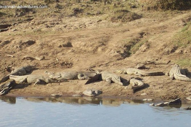 6 days guided safari: nairobi / lake nakuru / lake naivasha / masai mara n r - The safari vehicle and photo kit: small touches that help a lot